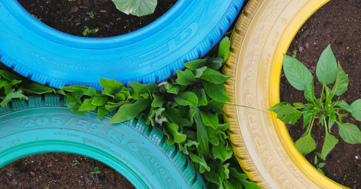 Tyre Planters