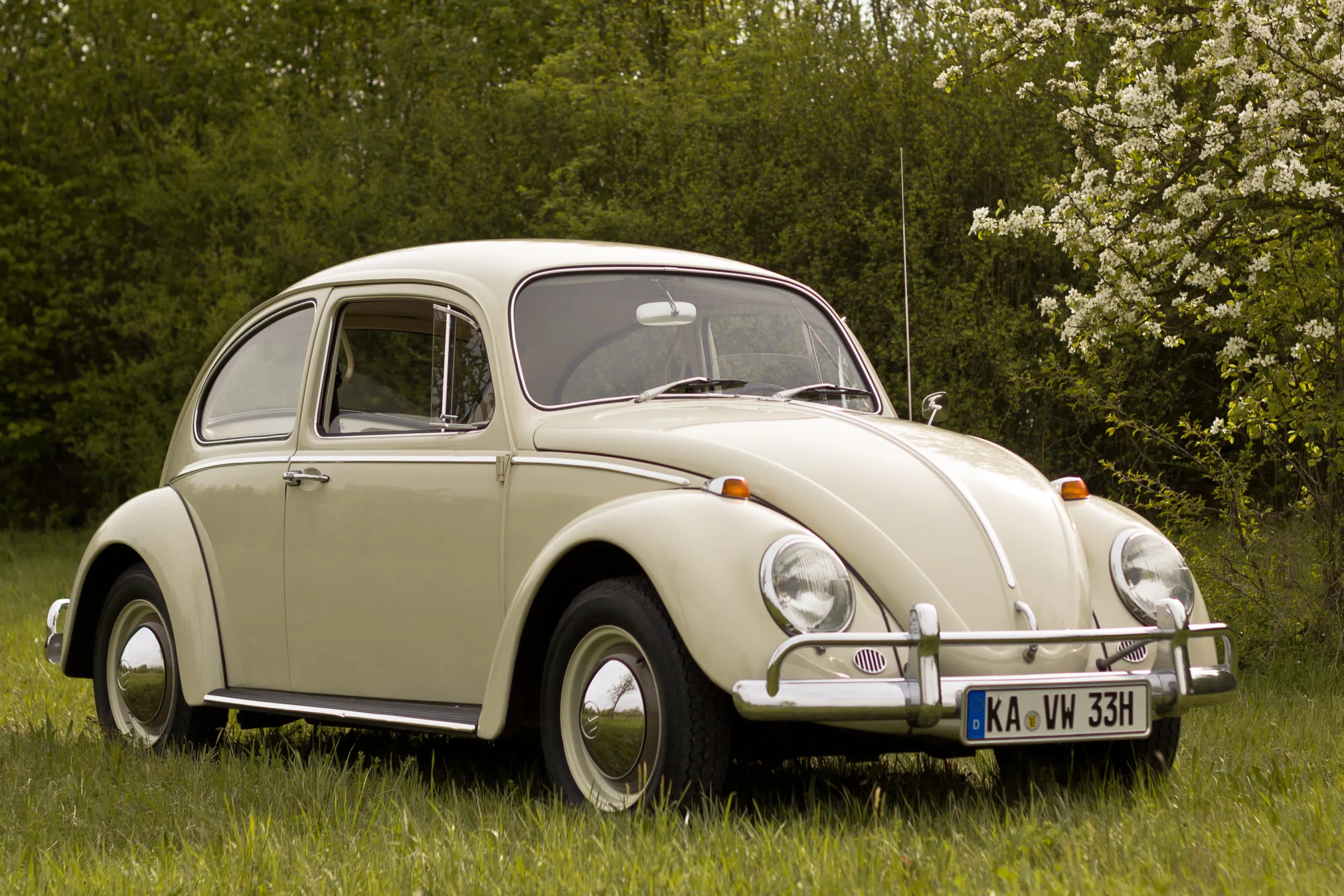 cars, beetle, greatest potential lifespan, longevity 
